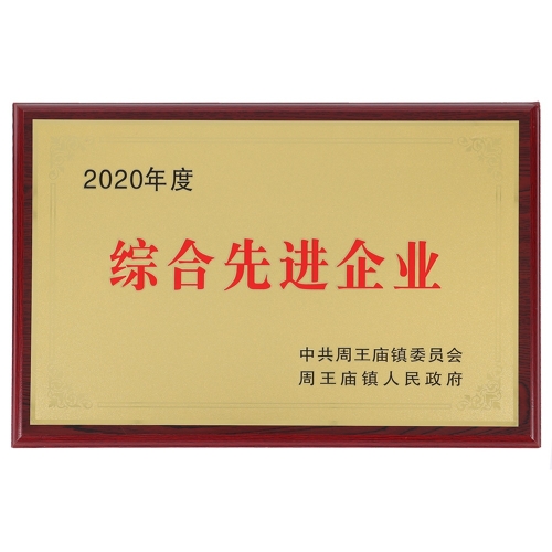 2020綜合先進企業(yè)
